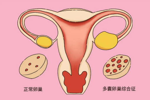 【2O24澳彩管家婆资料传真】_为园区企业健康发展保驾护航 厦门火炬高新区设立企业服务顾问工作站