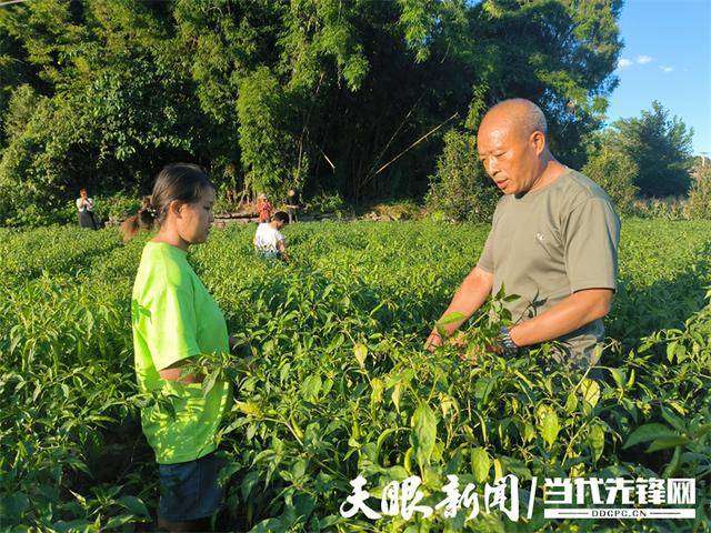 🌸澳门今晚一肖码100准管家娶🌸_隆回县2024年科干班赴魏源故居等地开展党性教育