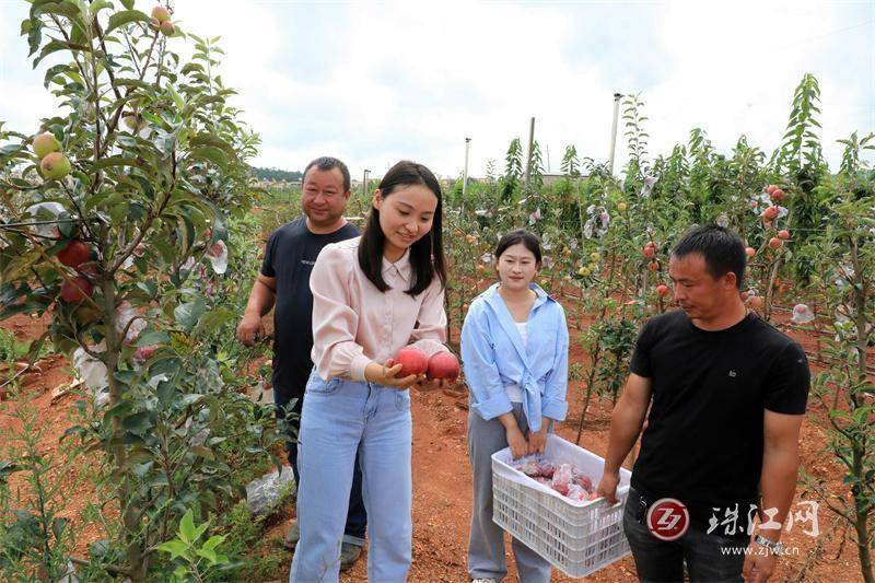 🌸澳门六开奖结果2024开奖记录查询🌸丨“加码”的培训点亮家政工幸福生活