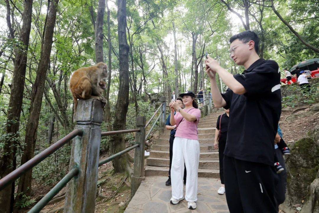 🍁管家婆一肖一码最准资料🍁丨武铁三等小站开行旅游专列受“热捧”