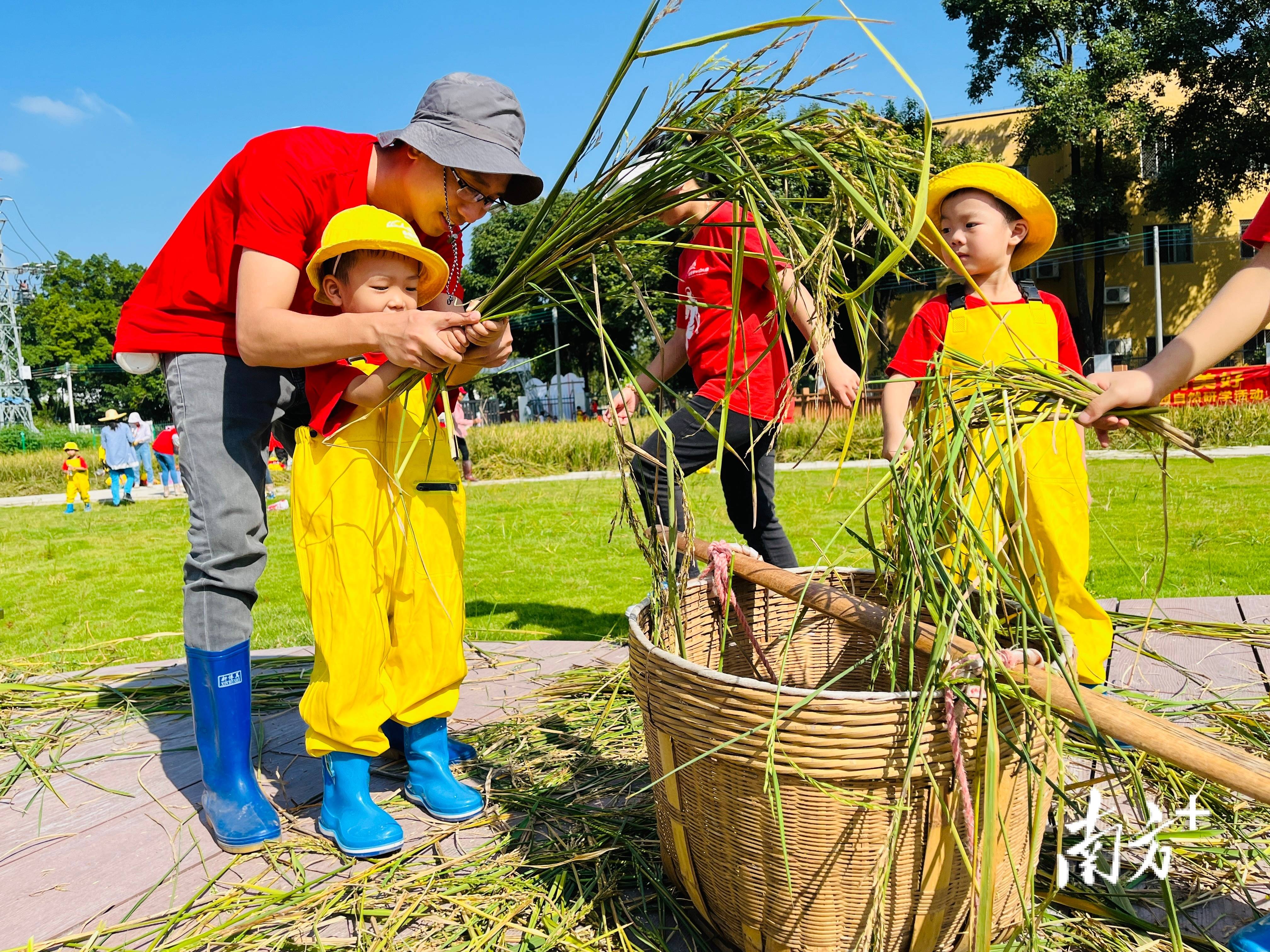 【澳门天天彩免费资料大全免费查询】_股票行情快报：悦心健康（002162）8月5日主力资金净卖出859.58万元