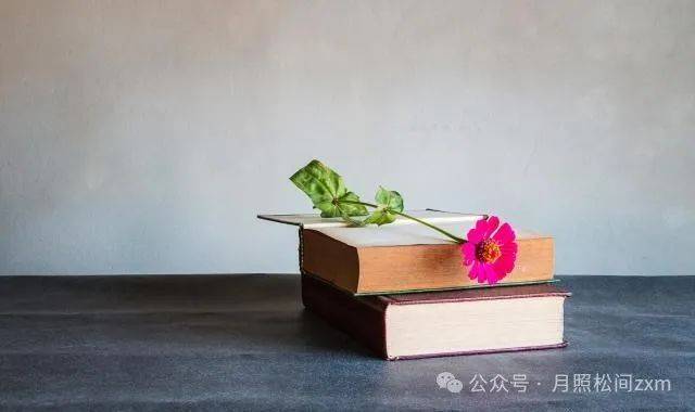 🌸香港二四六开奖免费资料🌸_严明纪律规矩 实干诠释担当——全市各地各部门持续推动党纪学习教育走深走实