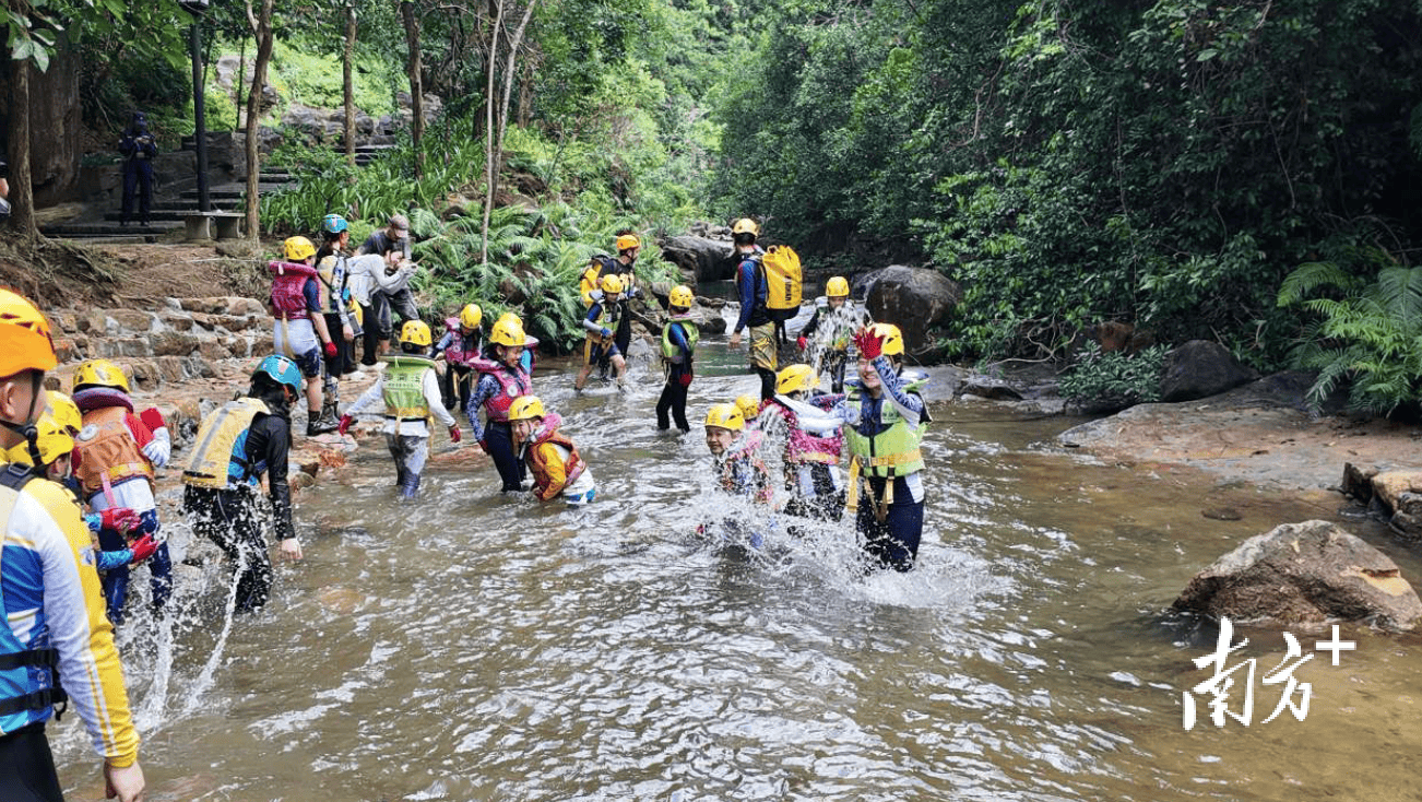 🍁白小姐精准免费四肖🍁丨旅游考察团什么意思