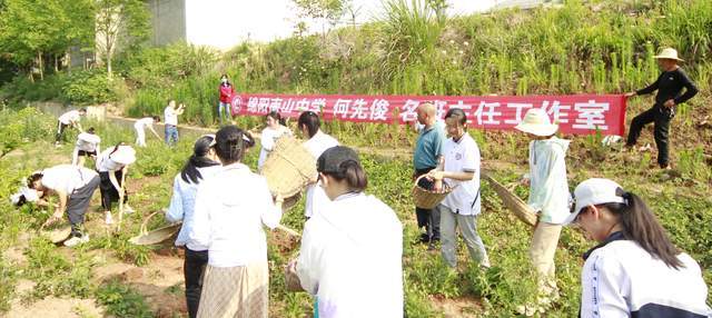 ✅澳门内部最精准免费资料✅丨重庆两所高校成为博士授权单位，重庆高等教育再上新台阶！