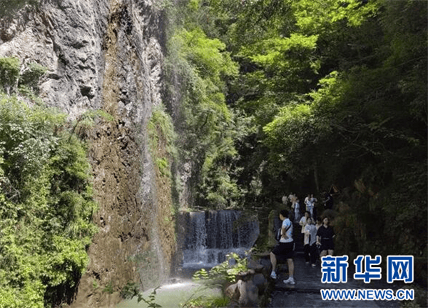 🍁澳门天天六开彩正版澳门🍁丨低碳旅游如何“名副其实”？碳排放计算标准和减排路径是景区转型关键