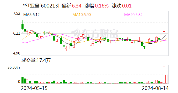 *ST亚星：公司股票将于8月16日停牌