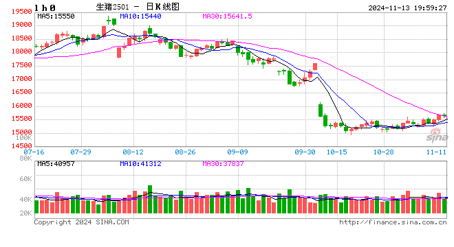 生猪：如何看待11月下半月行情？  第2张