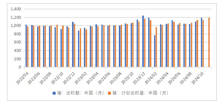 生猪：如何看待11月下半月行情？  第9张