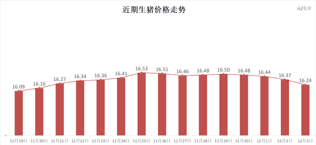 每日猪讯12.3