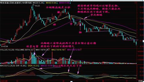 终于有人发声了：下一轮牛市什么时候会到来，现在是满仓干还是见好就收？作为投资者怎么看  第22张